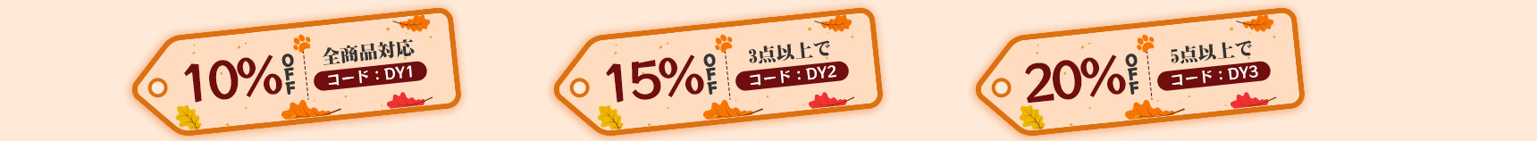 coupon promotion